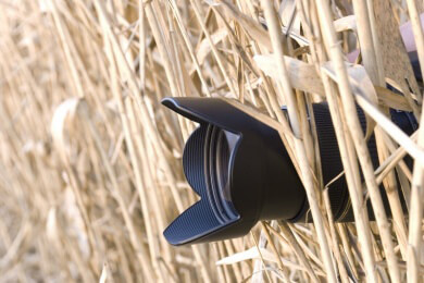 Stalking - Merkmale, Rechtliche Lage, Umgang und Selbsthilfe