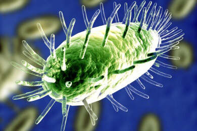 Ebola - Ursachen, Symptome und Behandlung