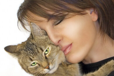 Katzenkratzkrankheit - Ursachen, Symptome und Behandlung