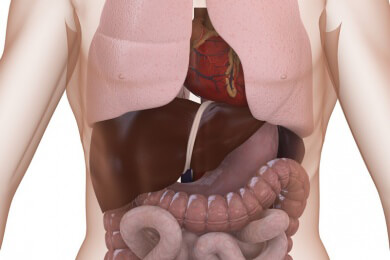 Pneumothorax - Ursachen, Symptome, Behandlung und Vorbeugemöglichkeiten