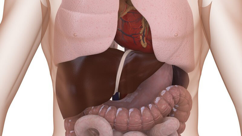 Die Entstehung eines Pneumothorax und wie man ihn erkennen und behandeln kann