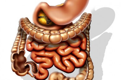 Anwendung und Ablauf der Magen-Darm-Passage