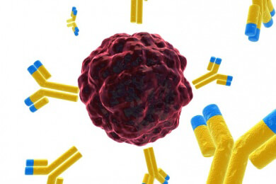 Protonentherapie - Anwendung, Ablauf und Behandlung