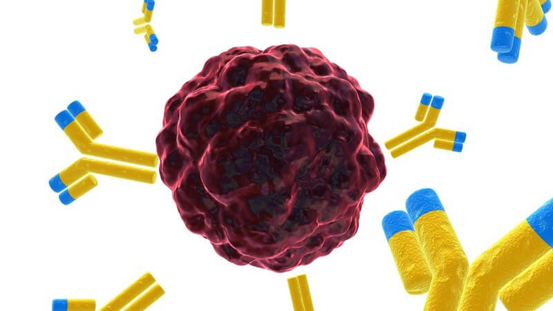 Die Durchführung der Protonentherapie zur Bekämpfung von Krebserkrankungen