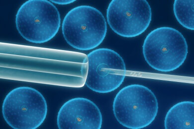 Bereiche und Möglichkeiten der Reproduktionsmedizin