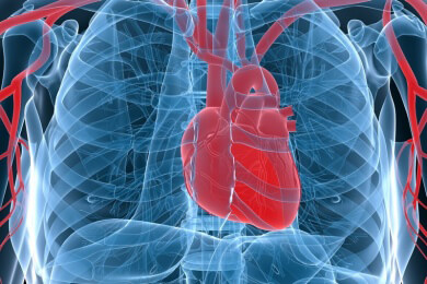 Anwendung und Ablauf der Thorakoskopie