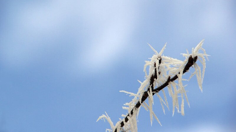 Die Schneekabine zur Abkühlung nach einem Saunagang