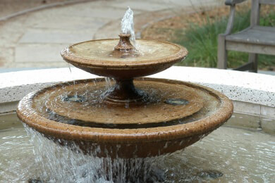 Zimmerbrunnen - Merkmale, Arten und Tipps zur Auswahl