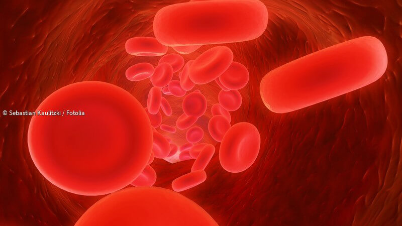 ᐅ Blut: Zusammensetzung, Funktionen und Blutwerte