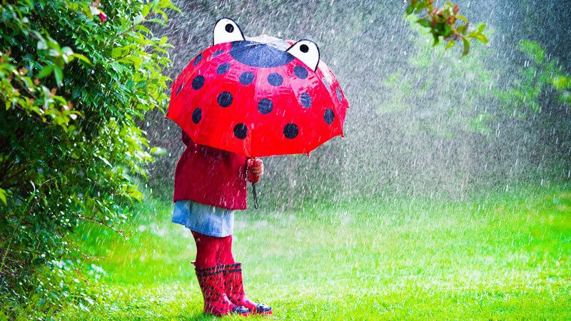 Tipps und Infos rund um den Regenschirm