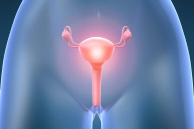 Eierstöcke - Hier werden die Eizellen sowie die weiblichen Geschlechtshormone produziert