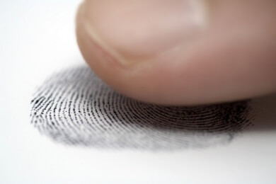 Die Finger - Zum Greifen, Halten, Stützen sowie für die Kommunikation und Identifikation