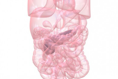 Bauchspeicheldrüsenentzündung - Akute & Chronische Pankreatitis