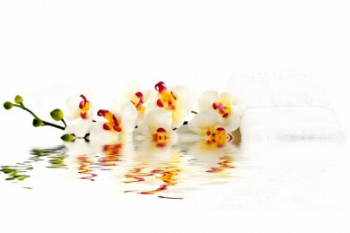 Stelzentheater - Merkmale, Besonderheiten und Möglichkeiten der Buchung