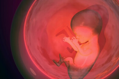 Das Fruchtwasser - Versorgt das ungeborene Kind mit wichtigen Nährstoffen