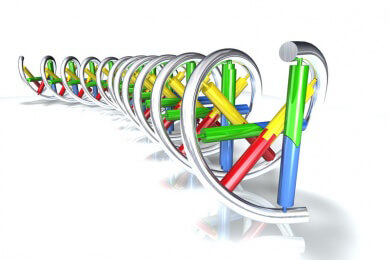 Chromosomen - Enthalten Gene und bestimmen das Geschlecht