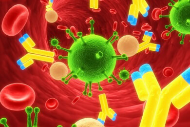 Das Immunsystem - Schützt als biologisches Abwehrsystem den Körper vor Infektionen