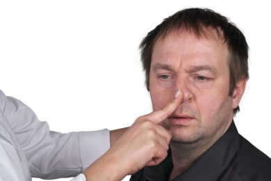 Das Nasenbein - Macht den größten Teil des Nasendachs aus