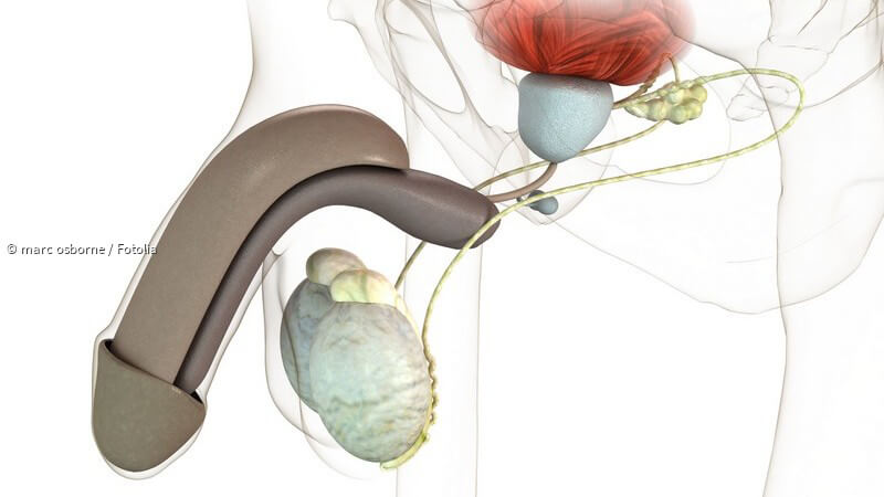 befriedigung bilder Schonende Therapie der Prostatahyperplasie, die Funktion bleibt!!! main image 1