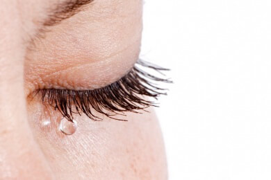 Die Wimpern - Fangen Fremdkörper oder kleine Schmutzpartikel ab und schützen somit die Augen