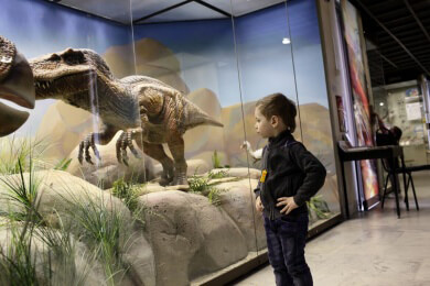 Naturmuseen - Merkmale, typische Ausstellungsstücke und bekannte Vertreter