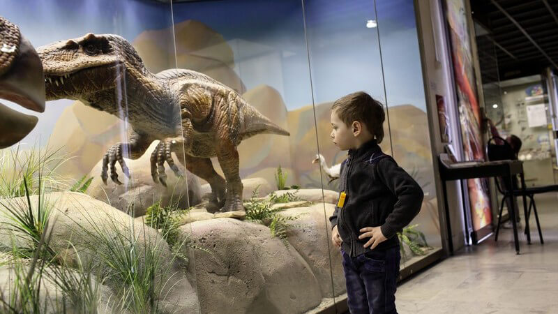 Was ein Naturmuseum vom normalen Museum unterscheidet und was in Naturkundemuseen ausgestellt wird