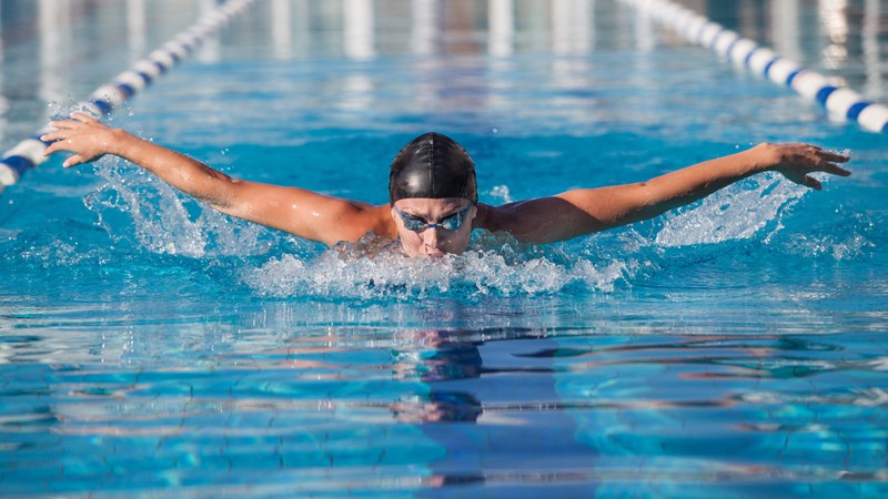 Schwimmer beim Delfin- oder Schmetterlingsschwimmen