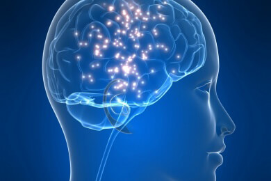 Aufgaben, Ausbildung und Weiterbildung eines Neurologen