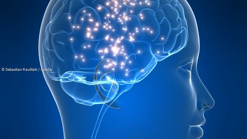 ᐅ Aufgaben, Ausbildung und Weiterbildung eines Neurologen