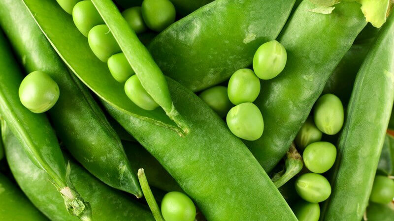 Zu den Klassikern der Erbsengerichte zählt die Erbsensuppe