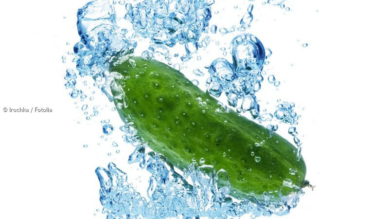 Wie Viel Prozent Wasser Hat Eine Gurke www.paradisi.de