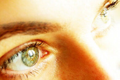 Sehen - Für den Sehvorgang benötigt man das Sehorgan, das Auge