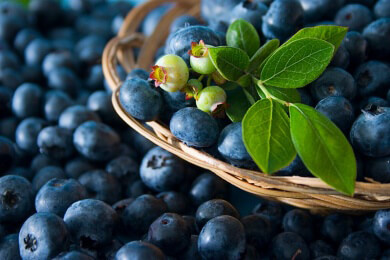 Heidelbeeren (Blaubeeren) - Nährwerte, Kalorien und gesundheitliche Vorzüge