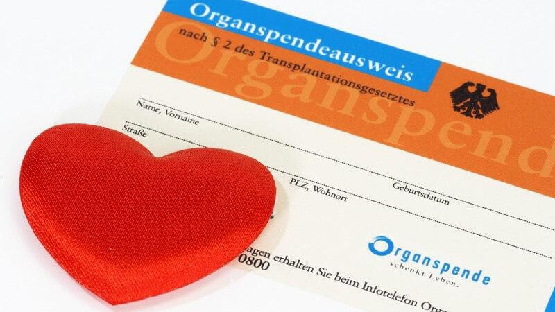 Wieso der Organspendeausweis so wichtig ist - Aufbau, Inhalt und Anlaufstellen, um Organspender zu werden