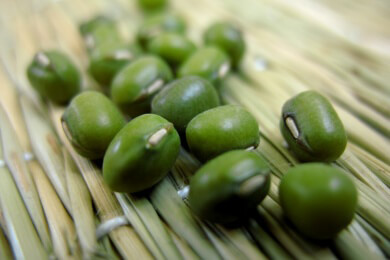 Allgemeines über Mungbohnen - Merkmale, Gesundheitswert und Verwendungsmöglichkeiten