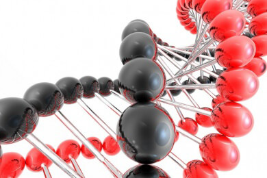 Grundlagen der Genetik - Wie Eigenschaften und Merkmale vererbt werden