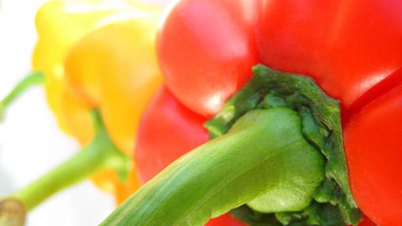 Paprika gibt es in unterschiedlichen Schärfegraden; verantwortlich dafür ist der unterschiedliche Gehalt an Capsaicin