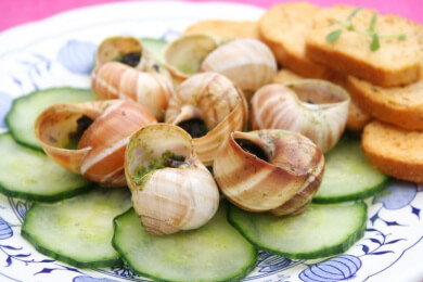 Allgemeines über Schnecken - Merkmale, Sorten, Gesundheitswert und Verwendungsmöglichkeiten