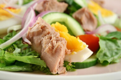 Allgemeines zum Thunfisch - Merkmale, Gesundheitswert und Verwendungsmöglichkeiten