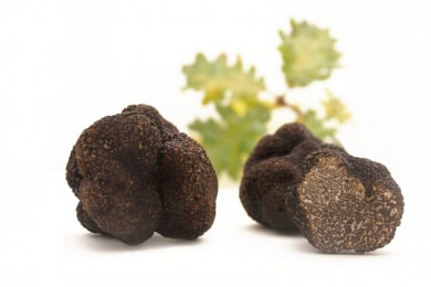 Allgemeines über Trüffel - Merkmale, Sorten, Gesundheitswert und Verwendungsmöglichkeiten