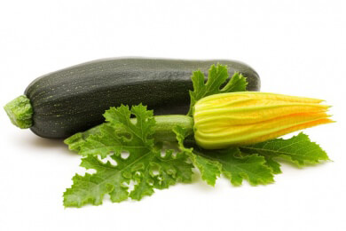 Allgemeines zur Zucchini - Merkmale, Anbau, Gesundheitswert und Verwendungsmöglichkeiten