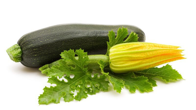 Die Zucchini lässt sich vielseitig zubereiten - von der cremigen Suppe bis zum Auflauf - und lässt sich auch im eigenen Garten anbauen