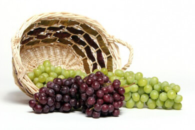 Allgemeines über Weintrauben - Merkmale, Sorten, Gesundheitswert und Verwendungsmöglichkeiten