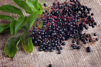 Allgemeines über Antioxidantien - Merkmale, Wirkung, Funktion und Vorkommen