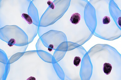 Biotin - Wofür ist es wichtig und in welchen Nahrungsmitteln ist es enthalten?