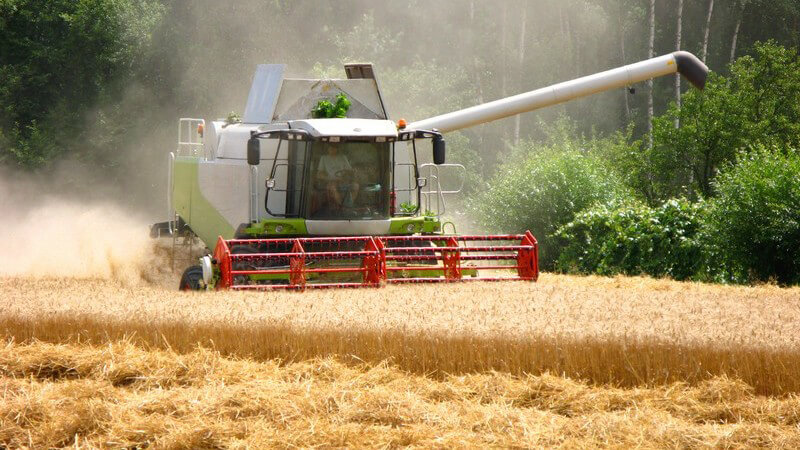 Mähdrescher erntet Getreidefeld
