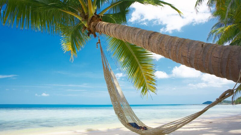 Hängematte mit Buch und Brille am Strand unter Palme, im Hintergrund türkises Meer