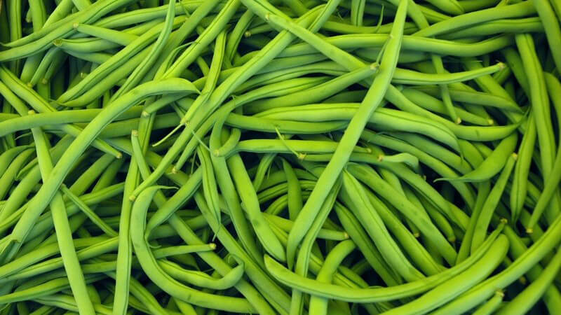 Ausschnitt frische grüne Bohnen