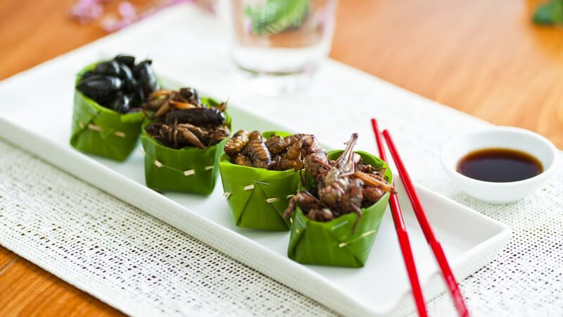 Verschiedene Insekten auf weißer Schale serviert