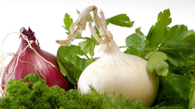 Ganze Zwiebeln mit frischen Kräutern